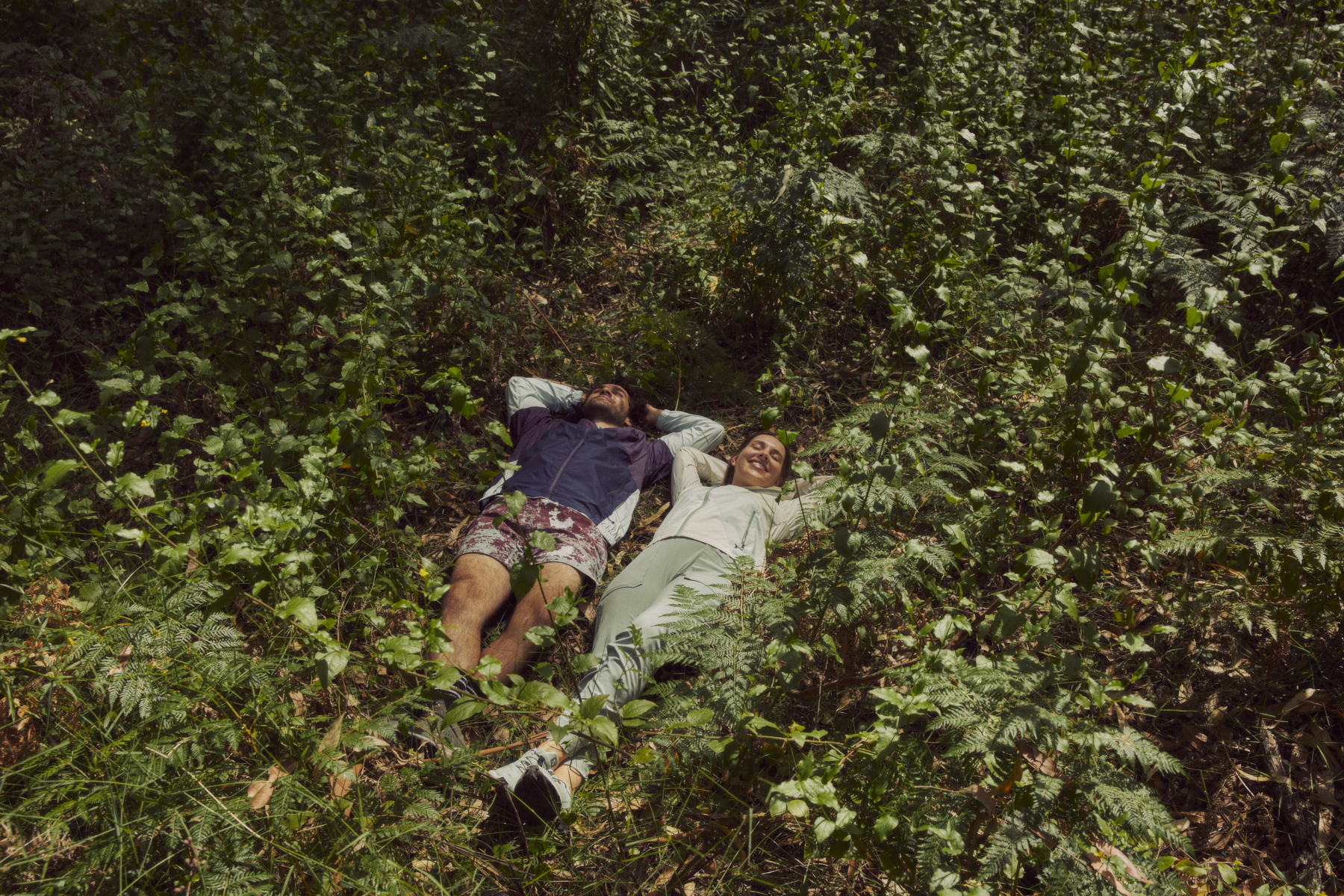 Finding Transcendence Through the Japanese Art of "Forest Bathing"