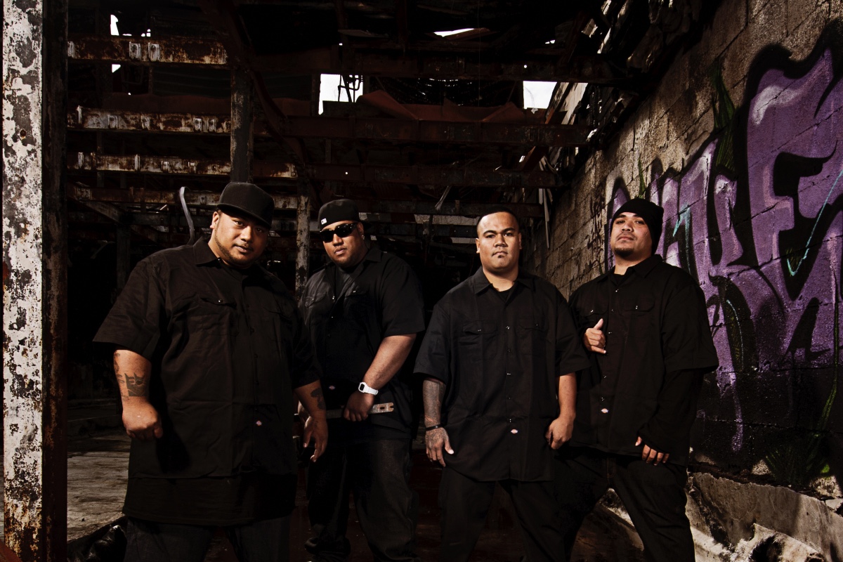 The Revival Of Deceptikonz