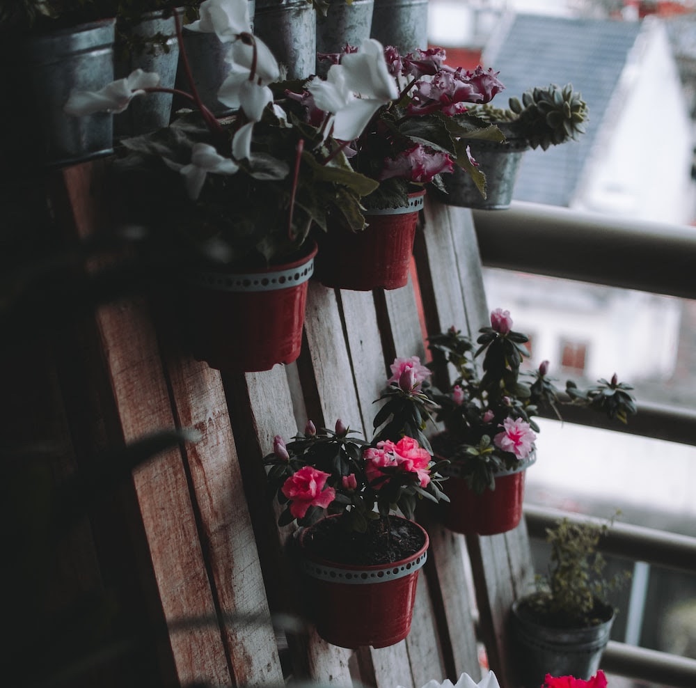 How to Choose the Right Plants for an Inner-City Garden