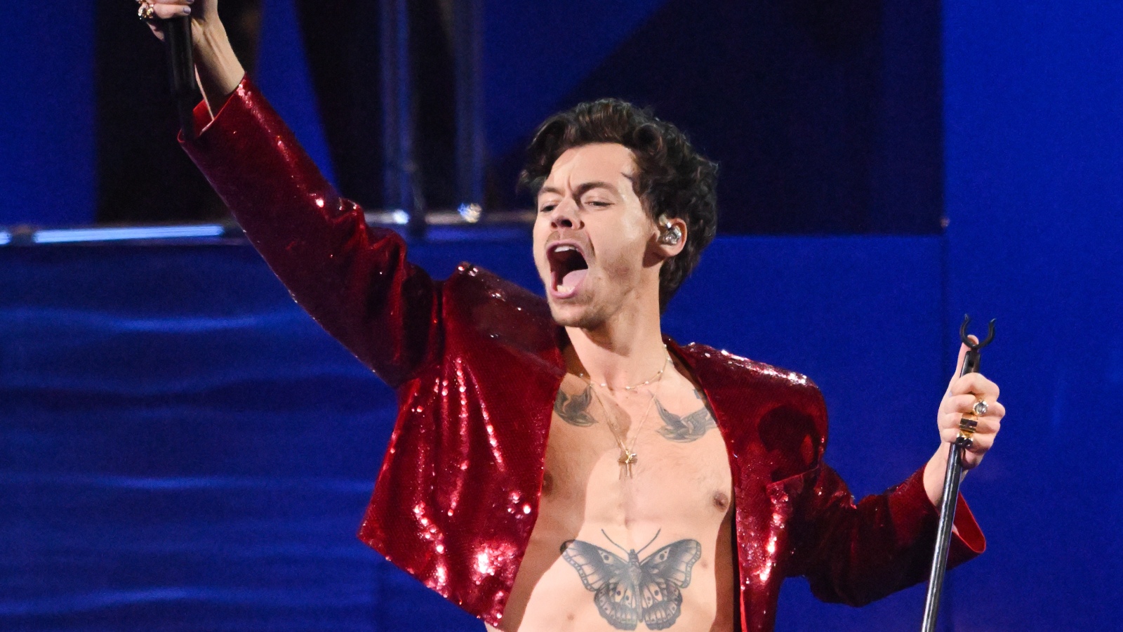 Harry Styles Seemingly Hit in the Eye by Object During Vienna Concert