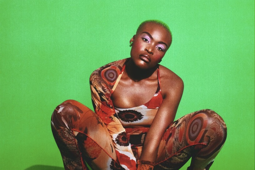 WOMAD NZ 2024: 5 Must-See Artists