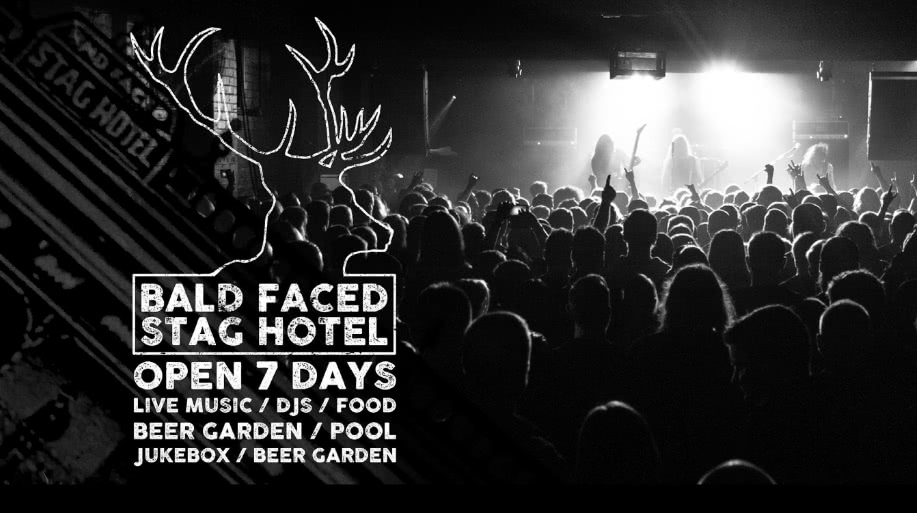 The Bald Faced Stag
