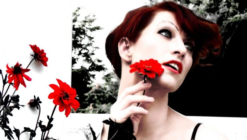 Amanda Palmer @ The Spiegeltent