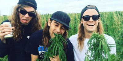 dune rats weed field
