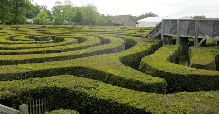 Image of a real-life hedge maze