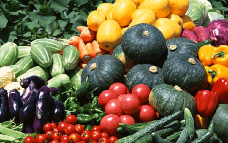 vegetables indoor gardening city of sydney