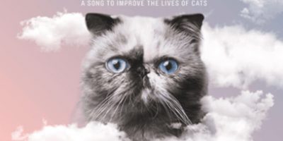 RSPCA Cat album