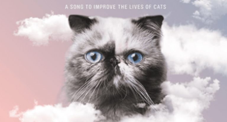 RSPCA Cat album