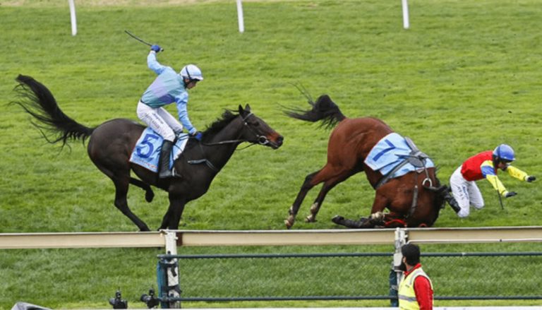 Image of horse racing at the Melbourne Cup