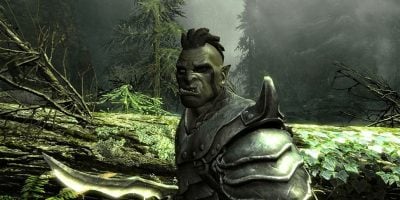 A screenshot from 'The Elder Scrolls V: Skyrim'