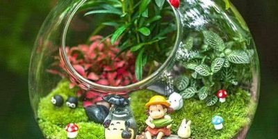 terrarium
