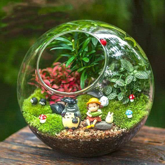 terrarium