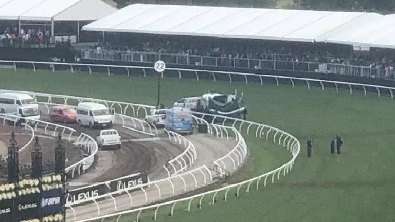 Nine protestors have been arrested at the Melbourne Cup