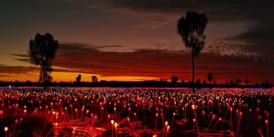 james d morgan field of lights on Huawei phone P30