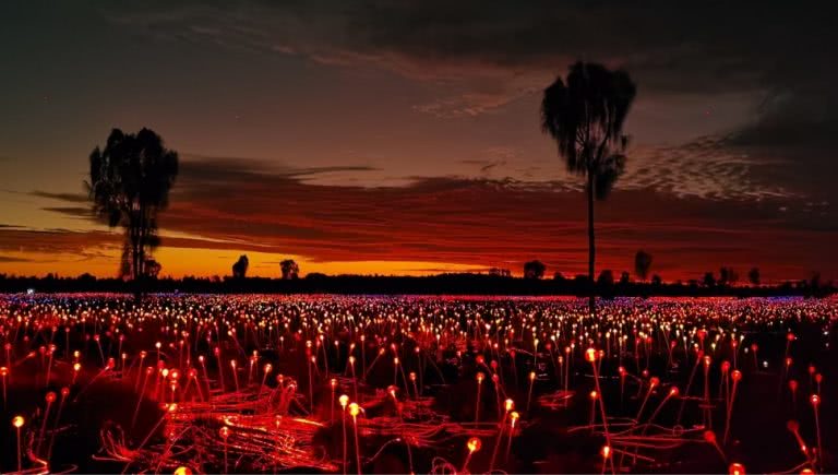 james d morgan field of lights on Huawei phone P30