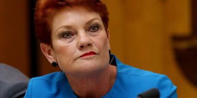 Pauline Hanson is launching a cartoon series in the mould of 'South Park'