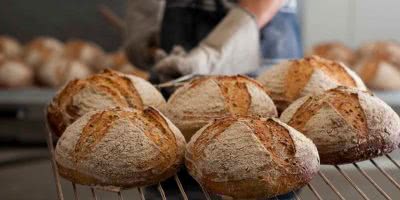 Bourke Street Sourdough