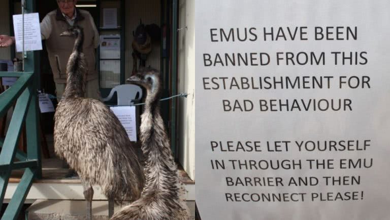 EMU