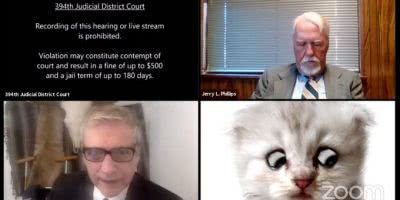 Zoom Cat Lawyer