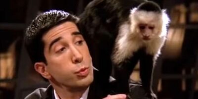 david schwimmer friends marcel