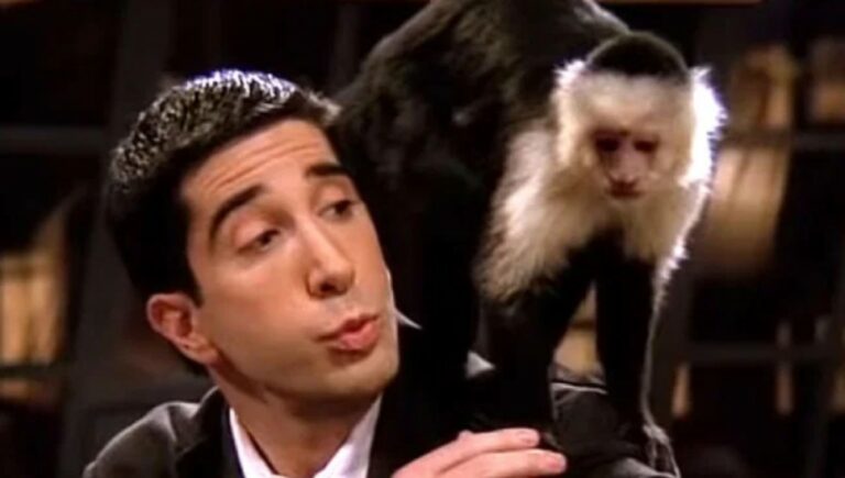 david schwimmer friends marcel