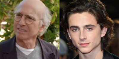 timothee chalamet larry david