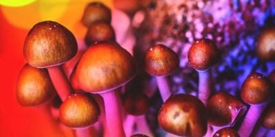 A world-first clinical trial will give Aussie therapists psychedelics to treat their patients