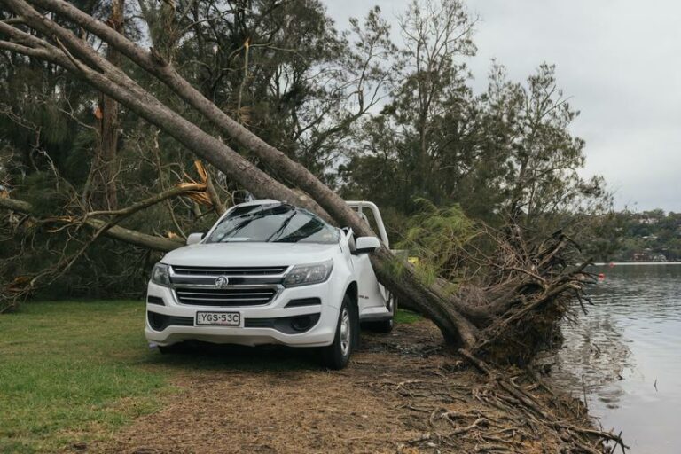 Northern beaches storm