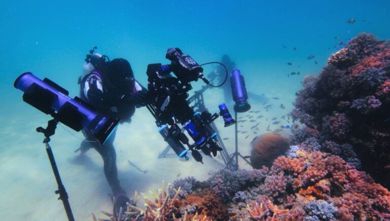 Great barrier reef report