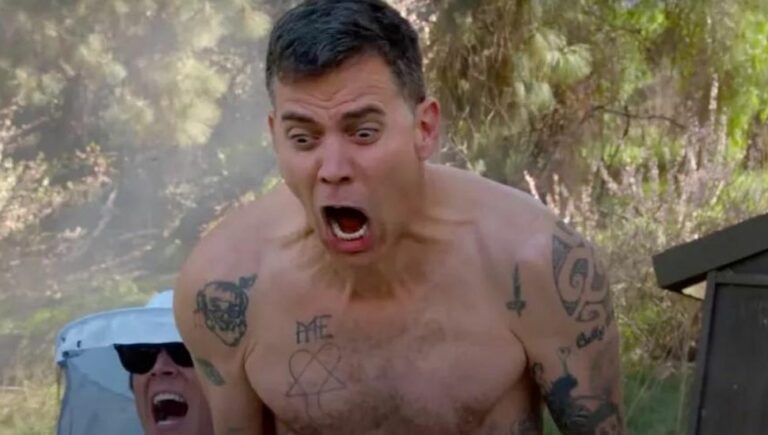 Steve-o has done some crazy stunts