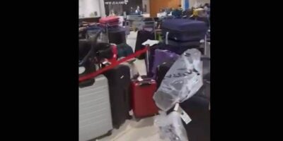 Auckland airport baggage video