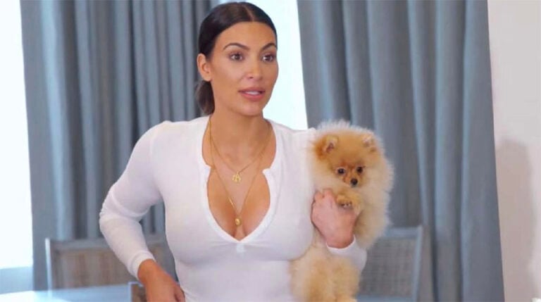 PETA is "hoping hard" Kim K's dogs don't live in garage after deleted TikTok