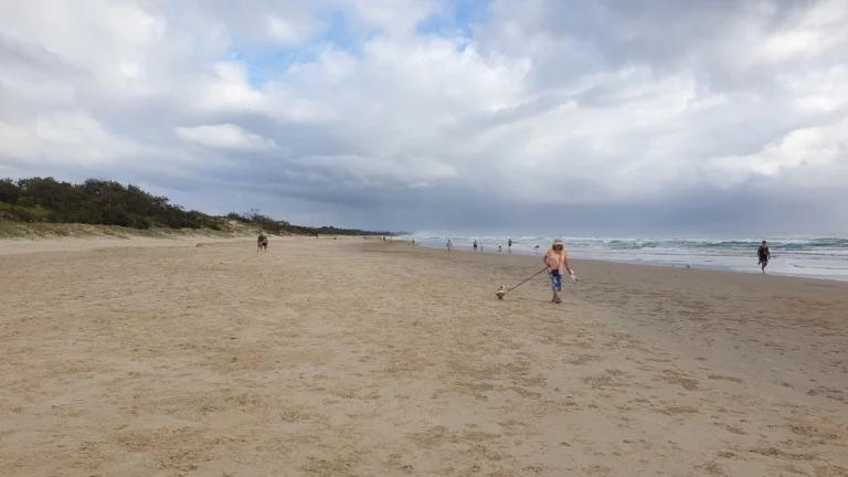 queensland french tourist drowning