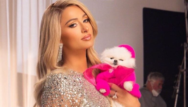 Paris Hilton has given birth