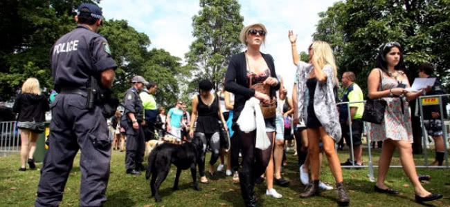 Woman walking into a festival, police office with his sniffer dog