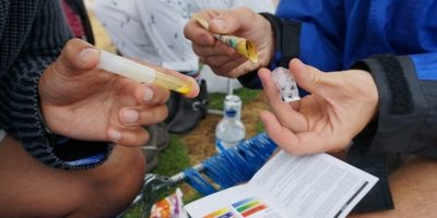 Image of a pill testing kit being used