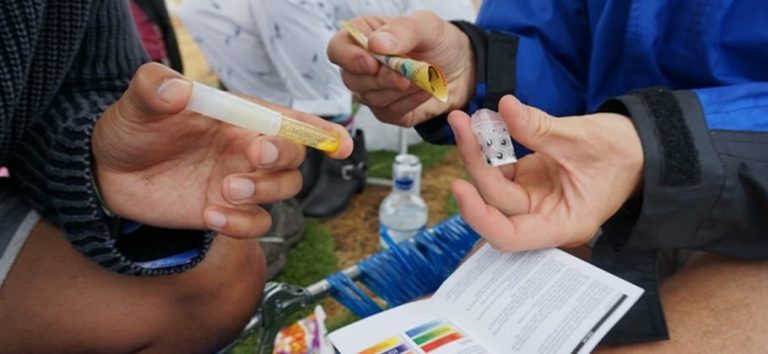 Image of a pill testing kit being used