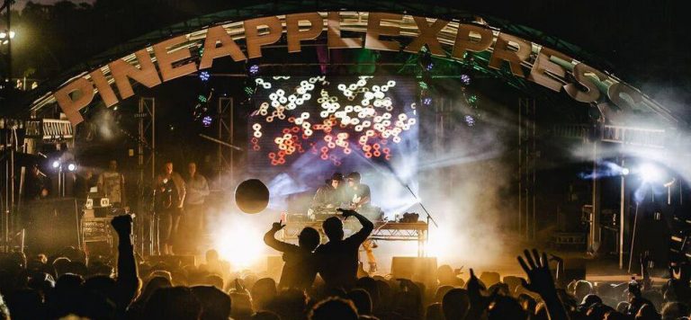 Image of a crowd at Queensland's Big Pineapple Music Festival