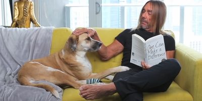 Iggy Pop patting a dog on a couch