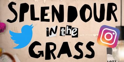Splendour In The Grass logo with Twitter & Instagram logos overlaid