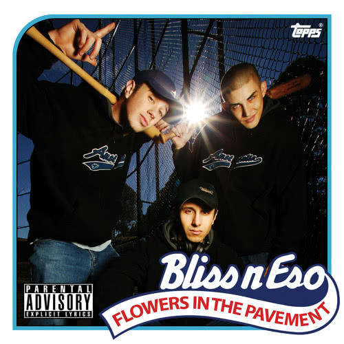 Flowers in the Pavement