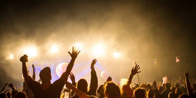 The crowd at Meredith Music Festival