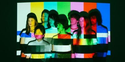 Superorganism