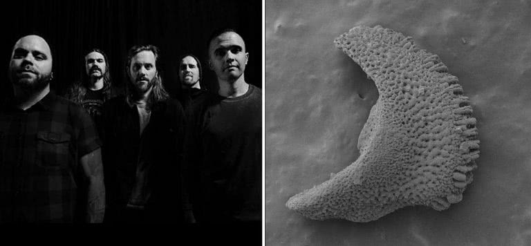 US metallers Between The Buried And Me and their newly-discovered namesake