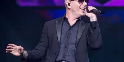 pitbull