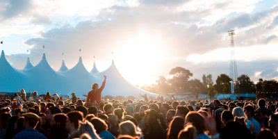 groovin-the-moo