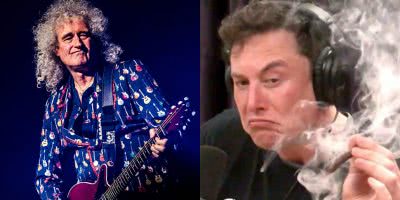 elon musk brian may