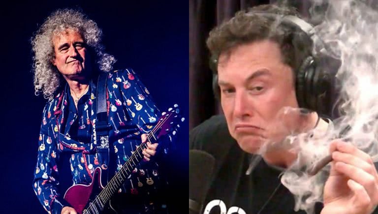 elon musk brian may