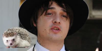pete doherty