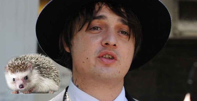 pete doherty